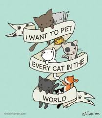 Pin By Tribalink Bluetribe On Things I Love Crazy Cats Crazy Cat Lady Cats