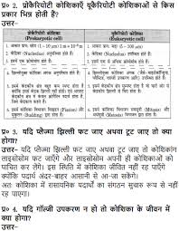 We did not find results for: Ncert Solutions For Class 9 Science Chapter 5 The Fundamental Unit Of Life