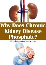 Stunning Useful Tips Menus For Kidney Disease Patients Autosomal Dominant Polycystic Polycystic Kidney Disease Kidney Disease Symptoms Chronic Kidney Disease