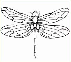 Black And White Insect With Wings Uk 6 Dragonfly Kleurplaten 68713 Kayra Examples Dragonfly Drawing Dragonfly Art Dragonfly