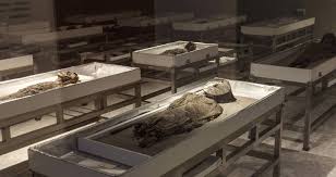 The chinchorro mummies are mummified remains of individuals from the south american chinchorro culture, found in what is now northern chile. Chinchorro Las Momias Mas Antiguas Del Mundo El Pais Semanal El Pais