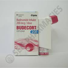 Budesonide (bud), sold under the brand name pulmicort among others, is a medication of the corticosteroid type. Ø³Ø¹Ø± ÙˆÙ…ÙˆØ§ØµÙØ§Øª Budecort 200 Mcg Dose 200 Doses Inhaler Ù…Ù† Seif Online ÙÙ‰ Ù…ØµØ± ÙŠØ§Ù‚ÙˆØ·Ø©