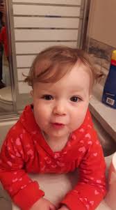 Large glitter Girl Scout and Girl Scout cookie time bows 9 each