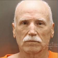 Idaho man accused of ramming car into Tesla counterprotester