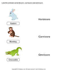 Animal , animate being , beast , brute , creature , fauna a living organism characterized by voluntary movement n a person who eats all kinds of foods type of: Herbivores Carnivores And Omnivores Worksheets For Kids Worksheet Turtle Diary