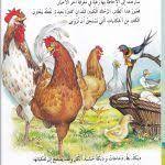 قصة طائر السنونو ممتعة للاطفال من حكايات المرزعة المعلمة أسماء projects to try animals