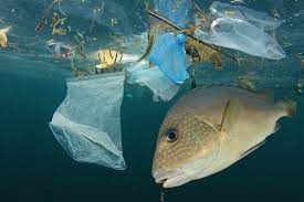 Laut, air, alam, plastik, sungai, kotoran, kotor, geologi, limbah, sampah, polusi, yg tdk dpt dipersalahkan, kantong plastik, pengumpulan. Aetra Indonesia Lautan Sampah Plastik