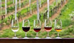 Annual Ertel Cellars Winery Festival