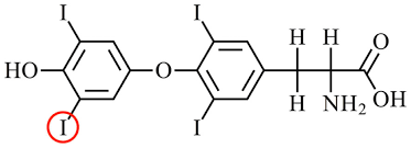 Image result for Thyroxine