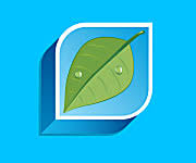 Résultat de recherche d'images pour "swift lorde site:dailymail.co.uk"