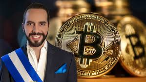 In het zuiden van el salvador aan de kust liggen el zonte en punta mango, twee kleine dorpjes waar de bitcoinadoptie hoogtijdagen viert. Pt7a2crhibcx0m