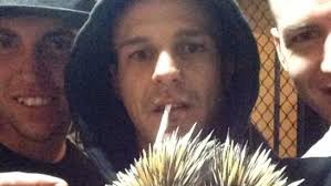 Echid-selfie man jailed for assault