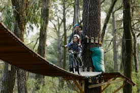 In forest adventure you must protect the teddy bear by avoiding other animals in the forest and the obstacles that you come by! Forest Adventures