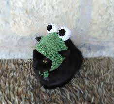 Frog Hat For Cat Frog Pet Costume Cat Accessories Kitten Etsy In 2021 Pet Costumes Cat Cat Accessories Pet Costumes