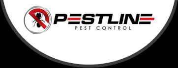 Many owners of houses and residential premises prefer to constantly take care of their environment before starting a busy job, you should not miss this step and be prepared for all possible options. Pest Control Melbourne Frankston Mornington Pestline