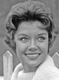 The castaways' luggage