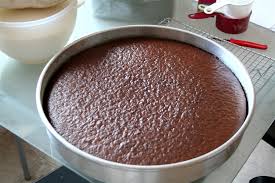 Cut a guitar shape out of poster paper in the size you want your cake. Gibson Electric Guitar Cake Denna S Ideas