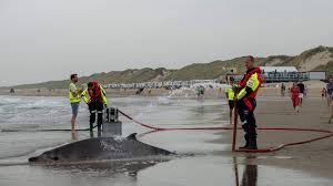 Abrattypixie - Unforgettable Nude Moments