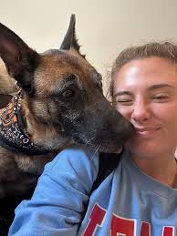 My foster dog needs a home!! He is super loving and really needs one person  who can give him the attention he needs and deserves. he has sever anxiety  and does not