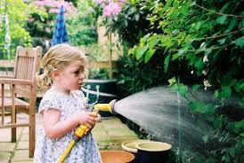 You may think that watering your lawn should be a simple and regular endeavor, but you would be wrong. What Is The Best Watering Schedule For Your Garden Garden Myths