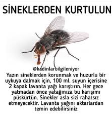 Bilgi Karti Panosundaki Pin