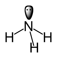 Is Nh3 Polar Or Nonpolar