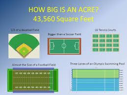 How Big Is An Acre Google Search Acre Football Squares Olympic Swimming