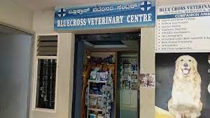 Blue cross pet hospital is committed to providing pets and their owners with optimal veterinary care in east vancouver. Bluecross Veterinary Centre Karnataka 91 94494 83294