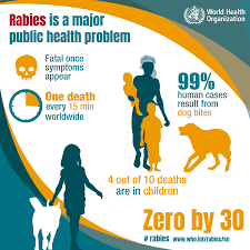 In some cases, the incubation period may stretch from a few days to about 6 whole years after which the symptoms start to appear. World Health Organization Who Rabies Is 100 Preventable Yet It Causes Tens Of Thousands Of Deaths Every Year Mostly In Asia And Africa Do You Have A Dog 99 Of Rabies