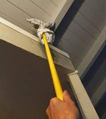 One Brilliant Way To Get Rid Of Spider Webs Get Rid Of Spiders Spider Web Spiders Repellent