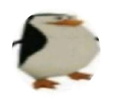 Caption memes or upload your own images to make custom memes. Meme Pfps On Twitter
