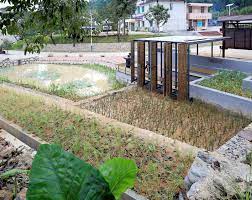 pleasure of water gathered an ecological rainwater garden in lianma village guangzhou city by fuyingbin 谷德设计网 landscaping plants ecology rainwater