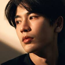 Tian Xiwei and Dylan Wang at Tencent Video All Star Night 2023 red carpet  ♥️ ✨️ #GuarDiansofTheDafeng #大奉打更人 #王鹤棣 #田曦薇 #cdrama #cdramas #Chinesedrama  #chinese___stars