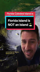 Caladesi Island Sharks