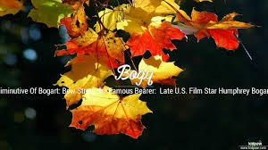 And a spread of 35ft. Christian Baby Boy Name Bogy Meanings Religion Origin Details