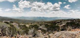 Mount William (Mount Duwil) Walk