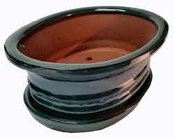 Of the 2 brands we offer lotus pots will be a more generous size as well as being slightly deeper. Lotus International 8 Bonsai Pot Mottled Green Oval With Tray