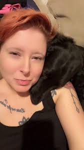 What can I feed my pit mix to help him gain weight? He's under weight as of  right now.