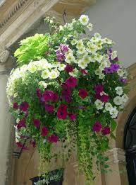 Check spelling or type a new query. Top Super Hanging Flower Basket Ideas Hanging Flower Baskets Hanging Garden Container Flowers