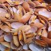 • 750 cc santan dari ½ butir kelapa • 250 gr kerang, kupas, rebus sebentar dan tiriskan • 200 gr kentang, kupas, potong dadu • 100 gr buncis muda, bersihkan. 1