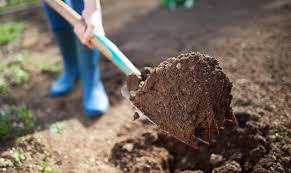 Maybe you would like to learn more about one of these? How To Improve Your Soil