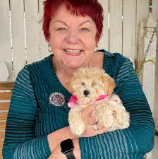 Where can I find gluten-free cupcakes?