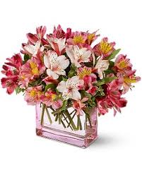 For the past 35 years, we have focused. Teleflora S Always Alstroemeria In San Clemente Ca Beach City Florist