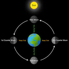 We did not find results for: Tides Read Earth Science Ck 12 Foundation