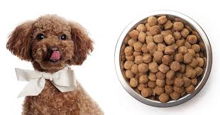 Check spelling or type a new query. My Puppy Puddles Commercial