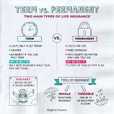 We did not find results for: Term Vs Permanent Life Insurance Napkin Finance