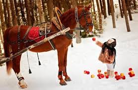 Яблоки на снегу