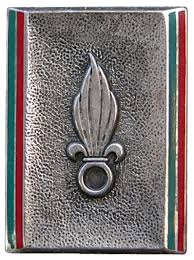 An enlistment is a serious commitment and should not be taken lightly. Foreign Legion Command Military Wiki Fandom
