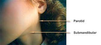 The hair follicle rests before producing another hair. Symptoms Child And Adolescent Eating Disorder Program Adolescent Medicine Golisano Children S Hospital University Of Rochester Medical Center