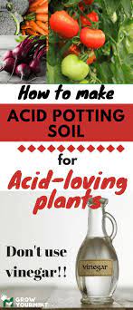 A few vegetables, though, actually prefer acidic soil. Pin On Garden Homestead